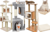 Top 10 Best Cat Trees of 2026